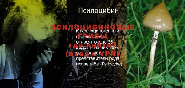 бутират Алексин
